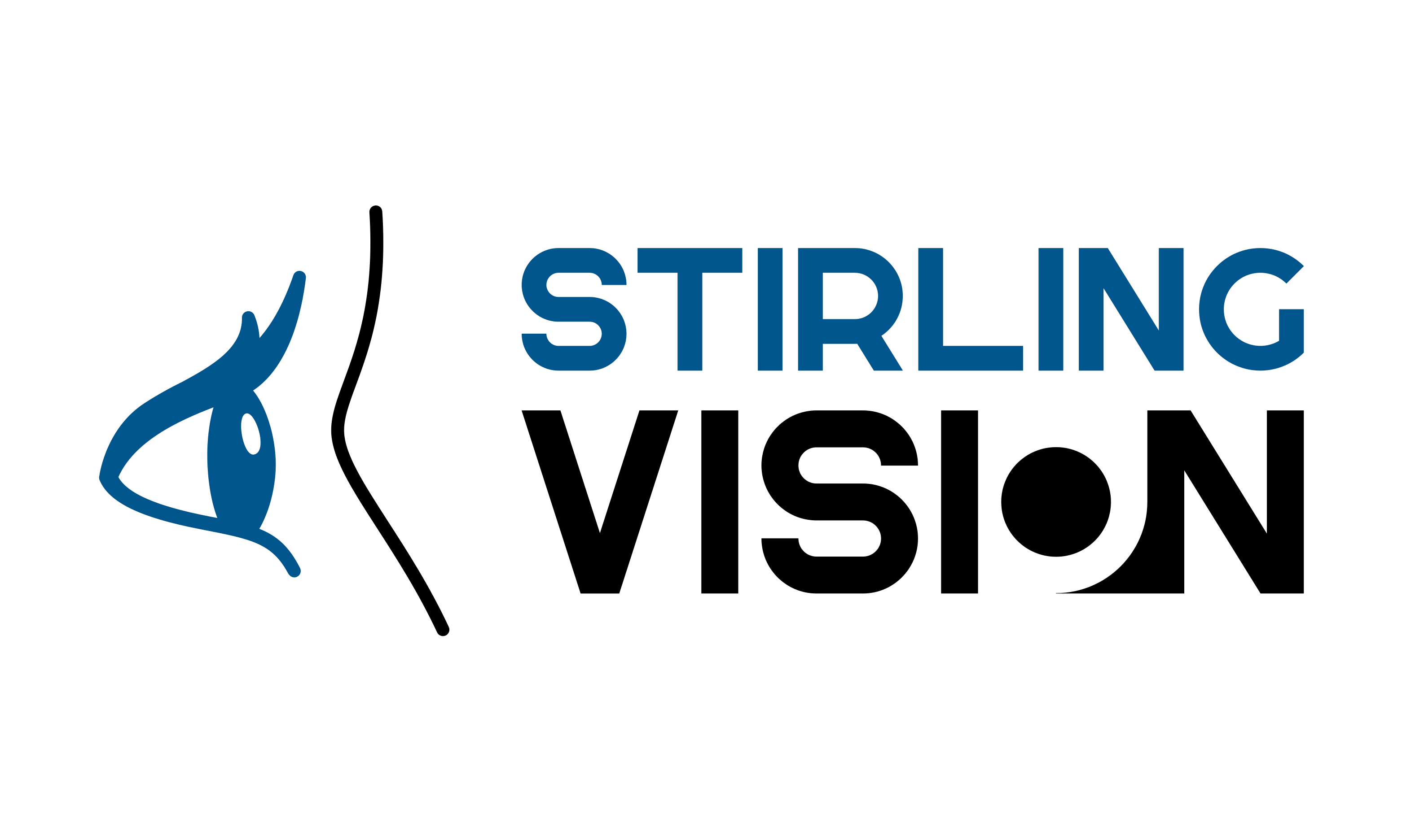 Stirling Vision